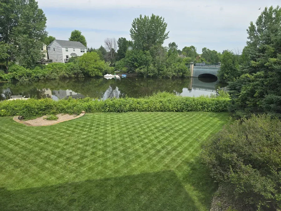 MAMMOTION robotic mower maintaining a family lawn
