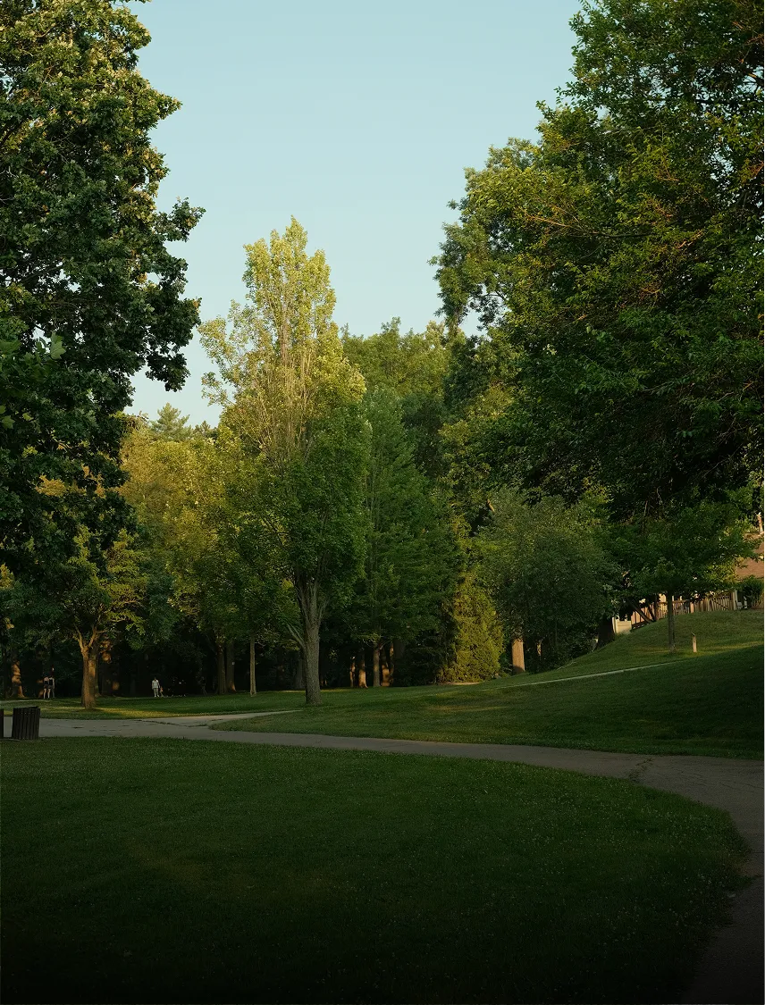 Public park lawn