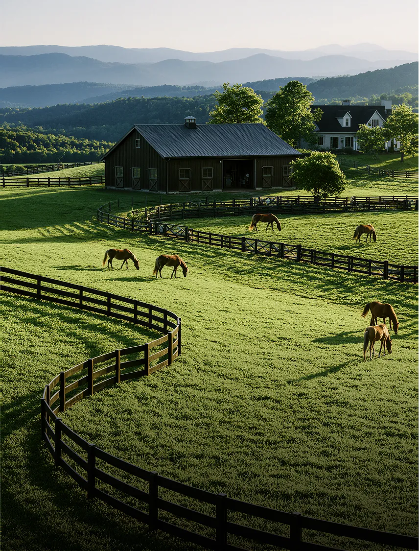 Horse farm pasture