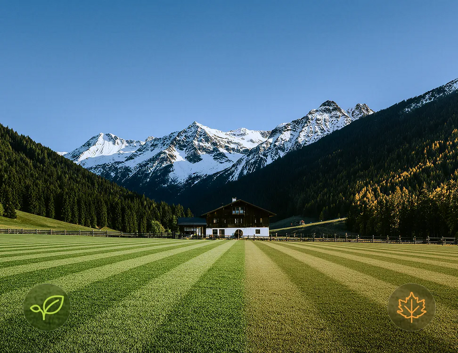 A striped turf field with mountains in the background