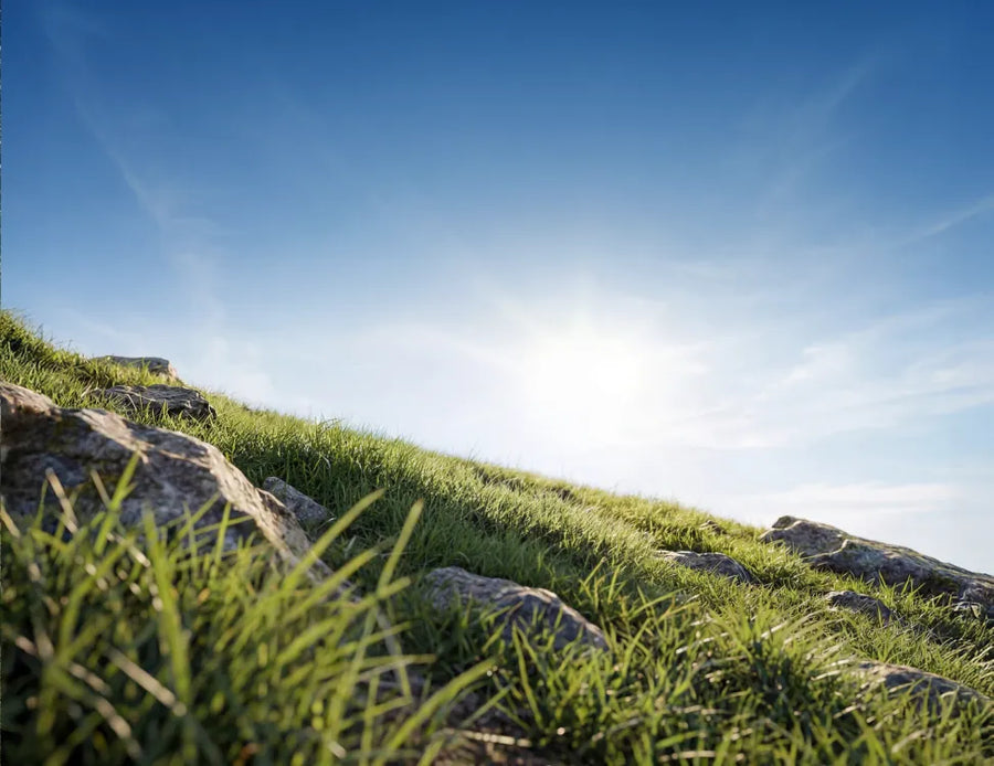 A grassy hillside with rocks and uneven terrain